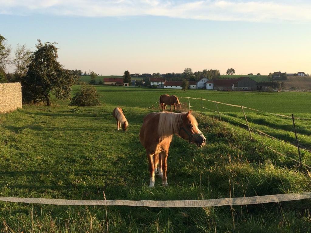 Ferienhof Loew Salzweg 外观 照片