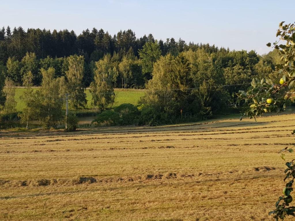 Ferienhof Loew Salzweg 外观 照片