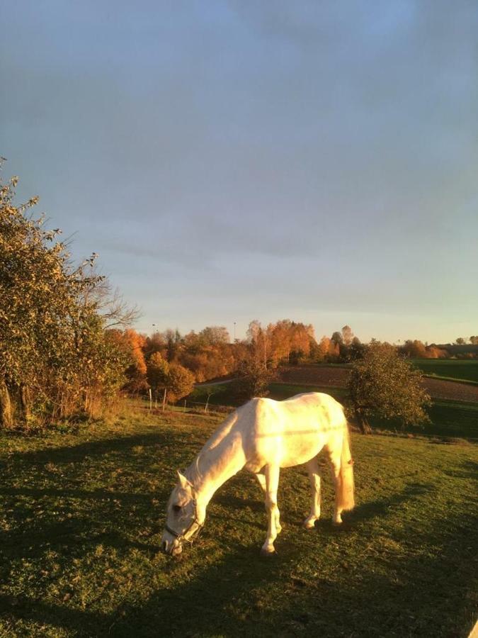 Ferienhof Loew Salzweg 外观 照片