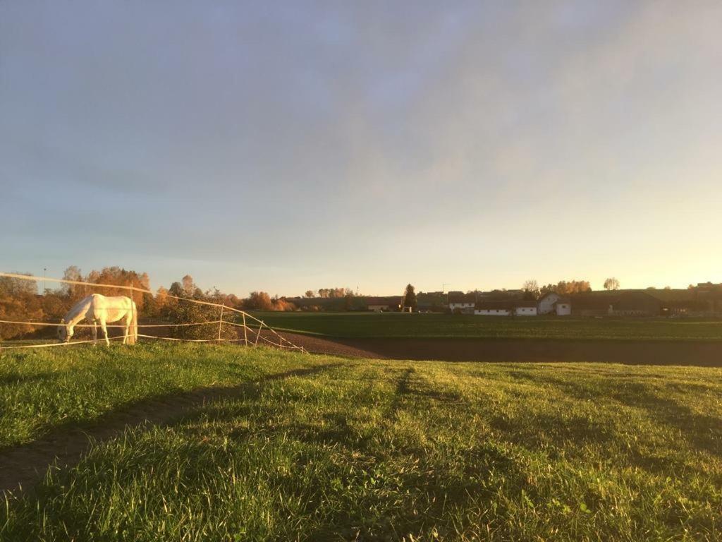Ferienhof Loew Salzweg 外观 照片